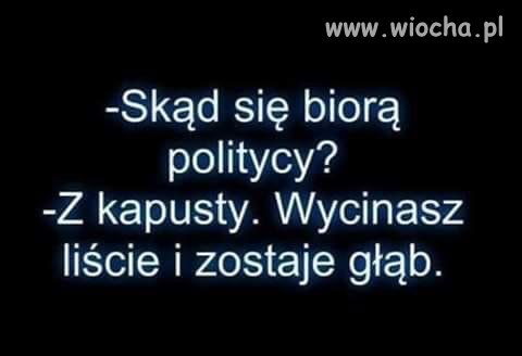 Skąd się biorą politycy?