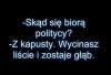 Skąd się biorą politycy?