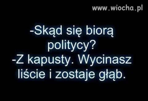 Skąd się biorą politycy?