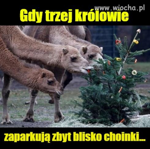 Patrz, gdzie parkujesz!