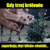 Patrz, gdzie parkujesz!