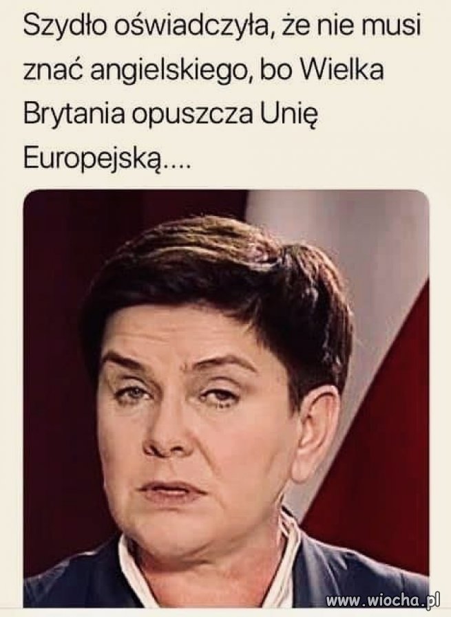 Nawet najgłupsi politycy nie są tak głupi