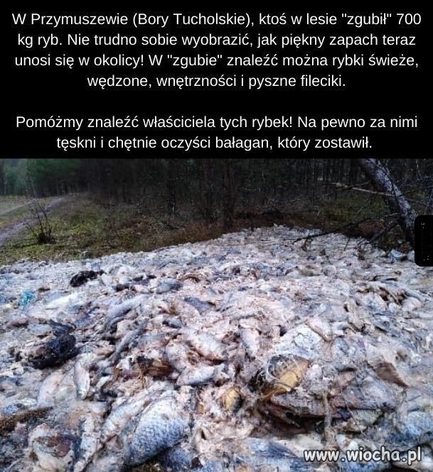 To jest dopiero