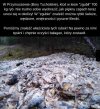 To jest dopiero