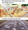 Coś w tym jest 