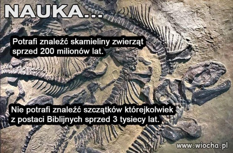 Bo to jedna wielka