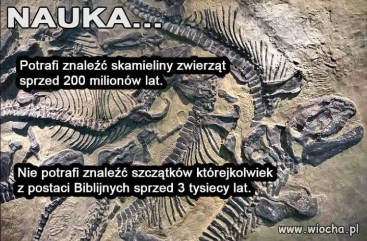 Bo to jedna wielka