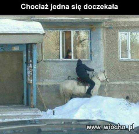 Na białym koniu