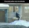 Na białym koniu