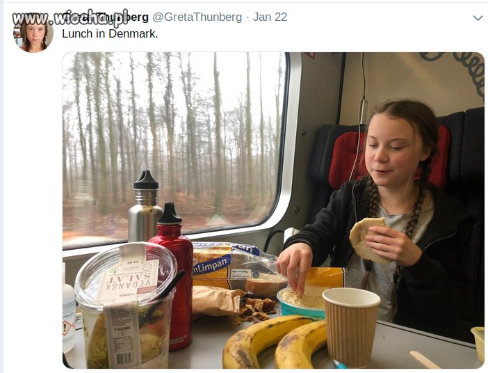 Jedzonko z plastiku