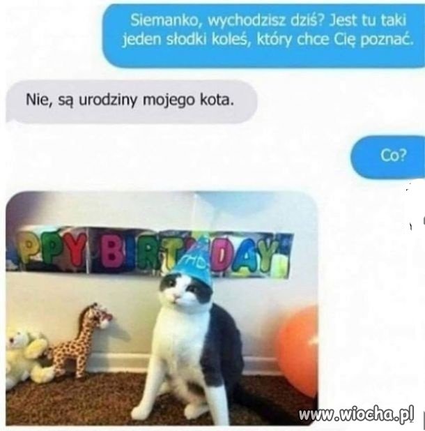 Najważniejsze