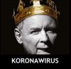 Taki wirus ... nasz, lokalny