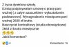 To tylko jeden z sukcesów PIS-u