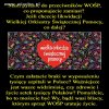 Pytanie do przeciwników WOŚP 