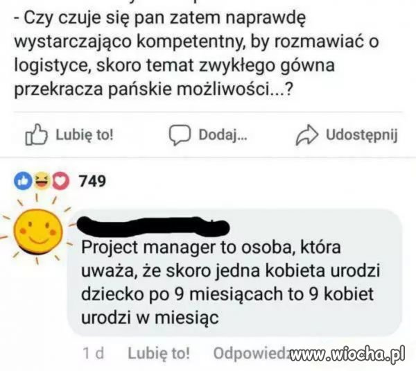 Project manager
