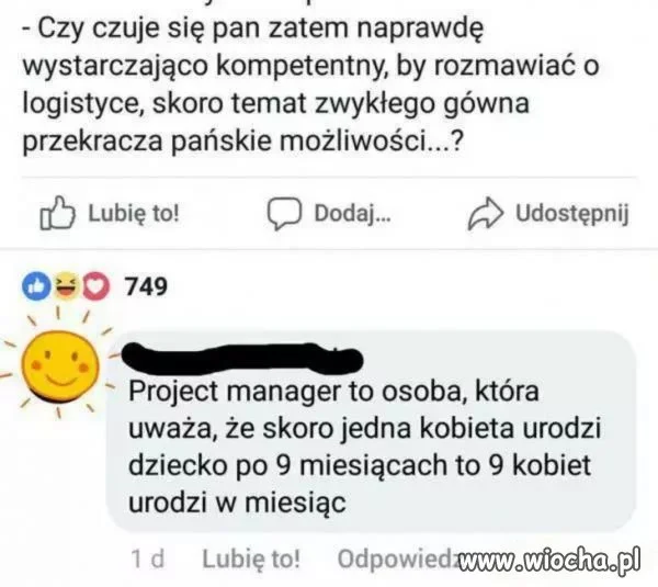 Project manager