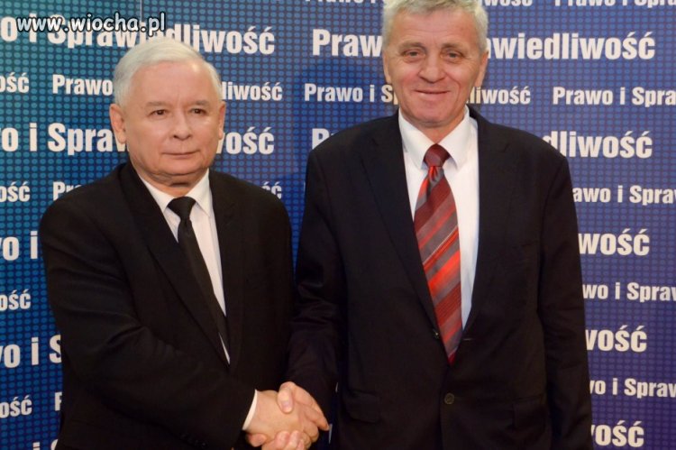 Kaczka i kogut 