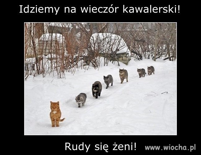 Tak to wygląda