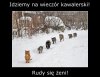 Tak to wygląda