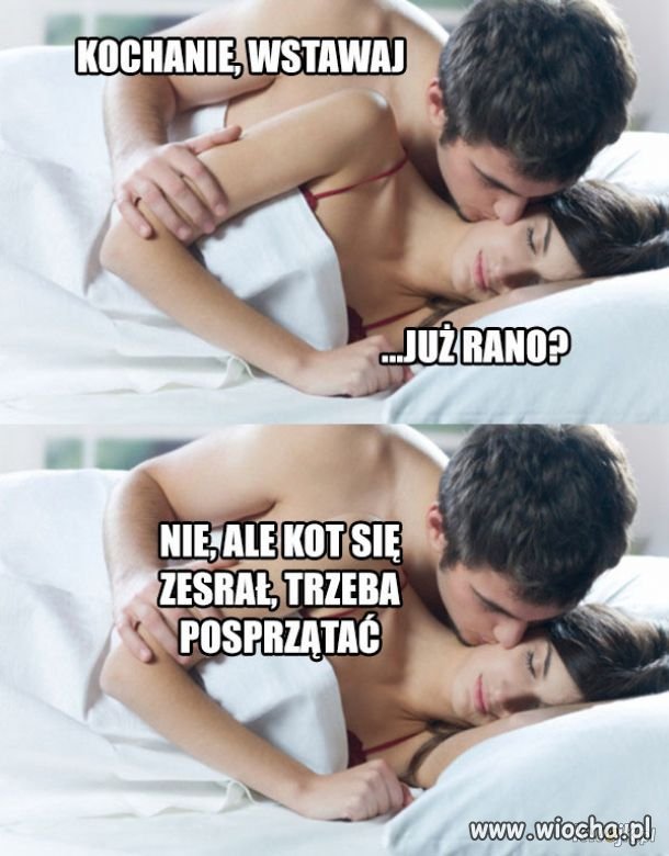 Kiedy tak bardzo chciała kota...