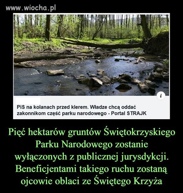 Ta czarna zaraza rozgrabi nasz kraj do reszty ...