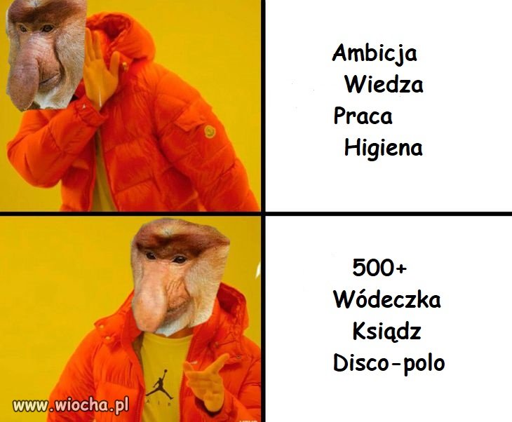 Całe życie ciemnego plebsu za dojną zmianą