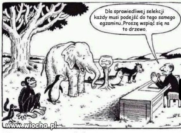 Polski system