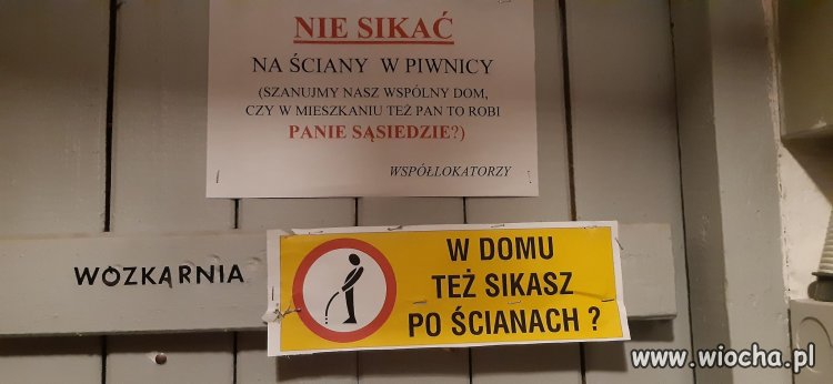 Wolność Tomku w swoim domku