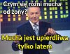 Im więcej lat po ślubie 