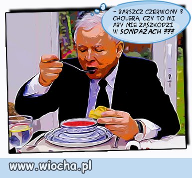 Poprawność polityczna ...