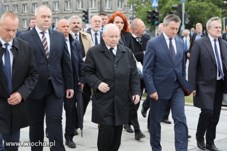 W imię PiS stała się twarzą anarchii 