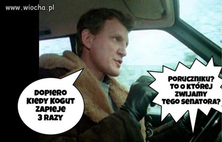 Kiedy kogut