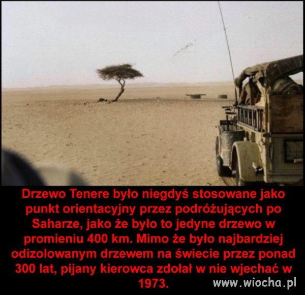 Co znaczy