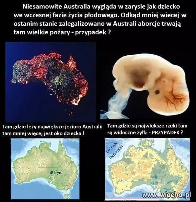 Przypadek