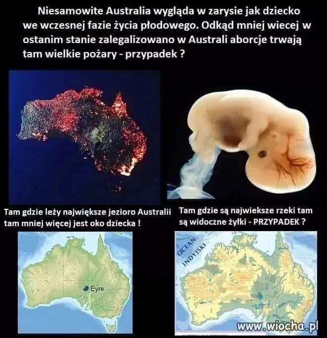 Przypadek