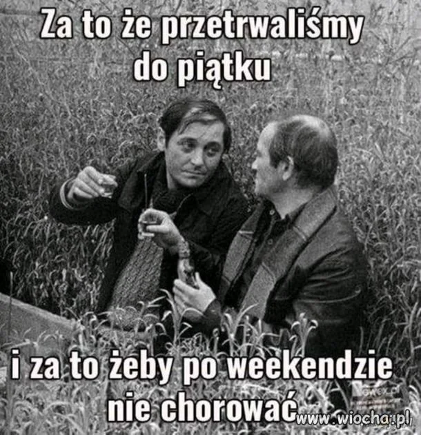 Zdrowie!