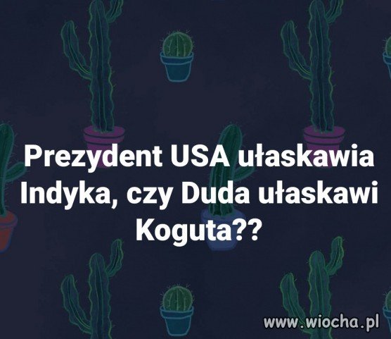 Pytanie na dziś 