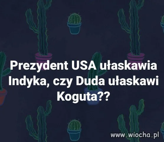 Pytanie na dziś 