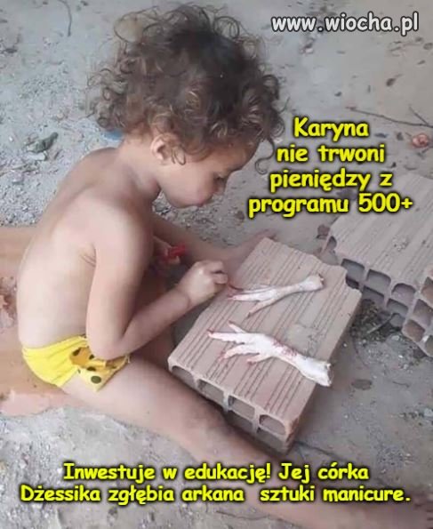 Edukacja +