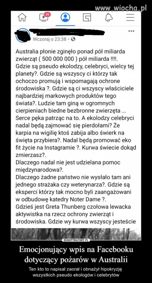 Do wszystkich pseudo ekologów i celebrytów