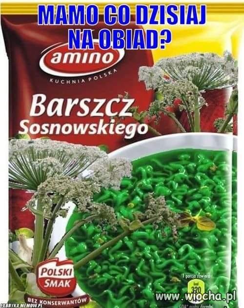 Co dzisiaj na obiad?