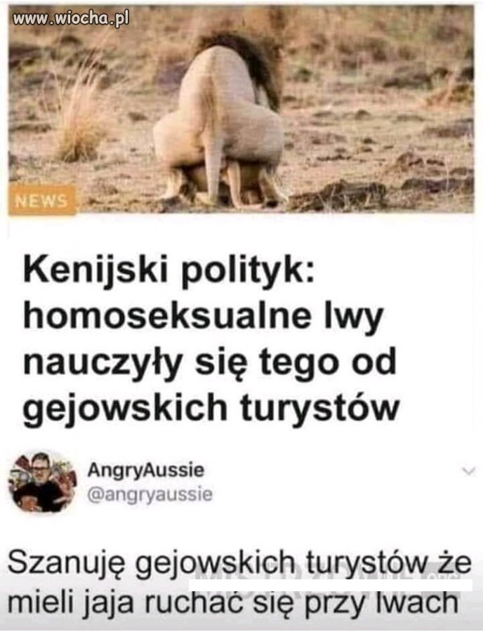 Tymczasem