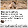 Tymczasem