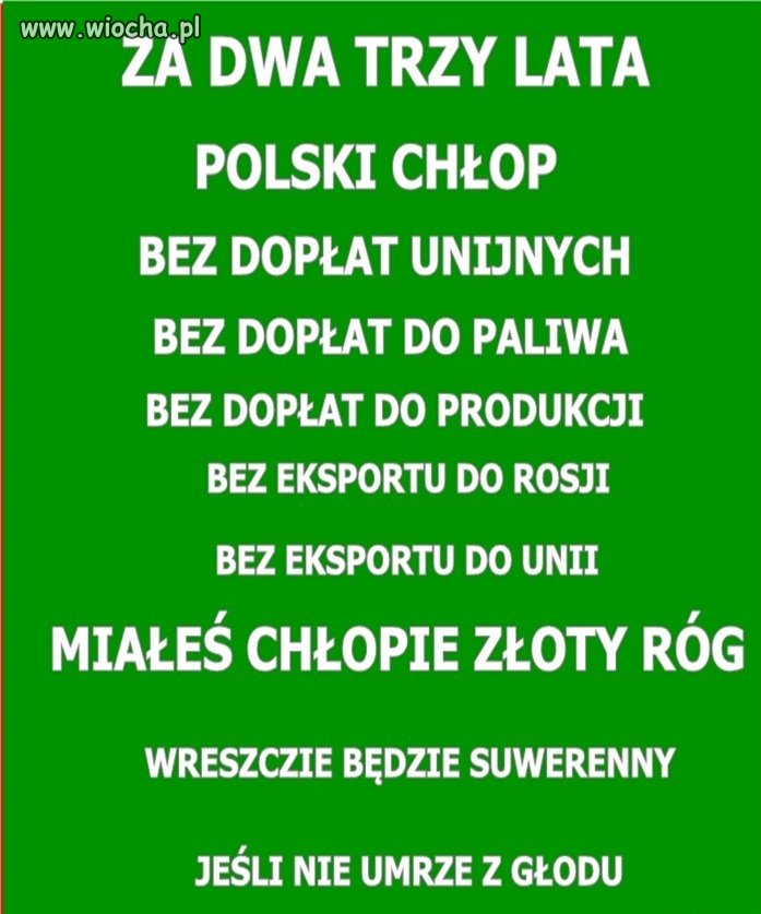 Tymczasem