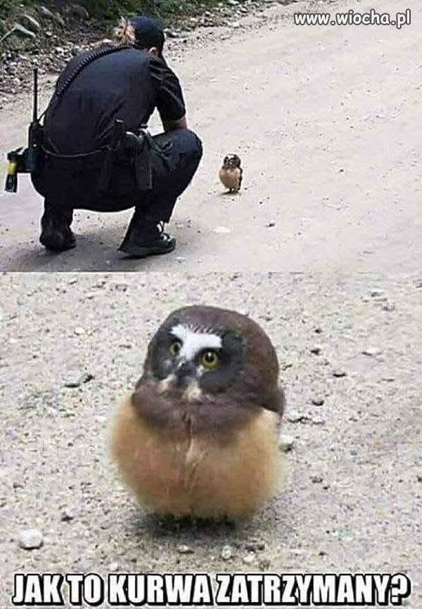 Jak to?