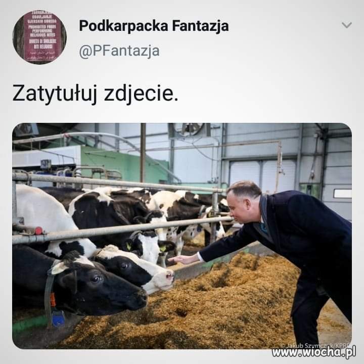 Jakieś 