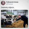 Jakieś 