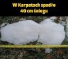 Zima dzisiaj