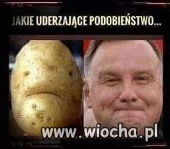Uderzające 