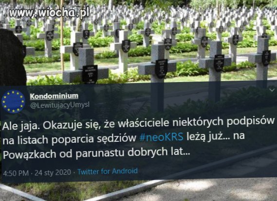 Ale jaja!